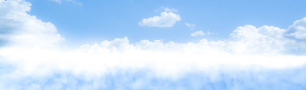 10 Ways to Incorporate Sustainability into Your Career